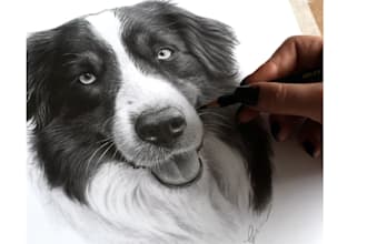 draw realistic pencil sketch portrait pet drawing infographic sketch note