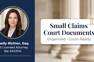 professionally prepare your small claims court document or statement