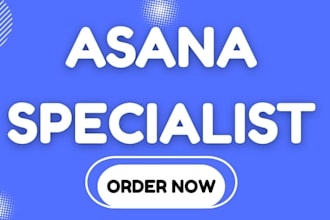 asana automation dashbaord integration
