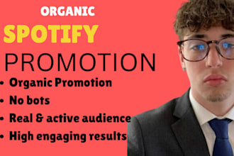 professional organic music promotion and spotify marketing