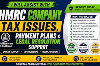 assist with hmrc company tax issues, payment plans and legal resolution support