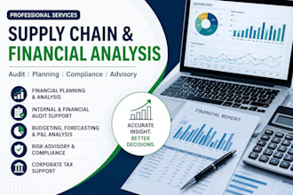 provide supply chain  financial audit risk advisory services