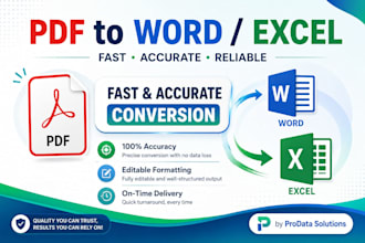 do professional PDF to word and excel conversion
