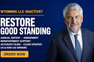 file wyoming llc annual report, amendment or reinstatement for good standing