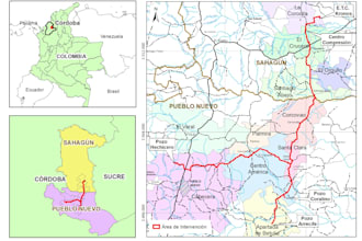 create professional gis maps and spatial analysis