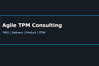 agile program, product and delivery management consulting