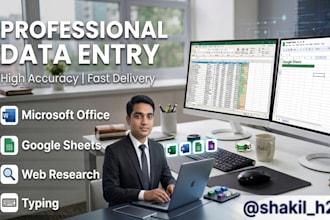 do fast and accurate data entry, data collection and data organizing