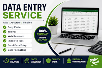 do data entry, copy paste, typing and web research