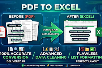 expert data cleaning, PDF conversion, and merge excel data