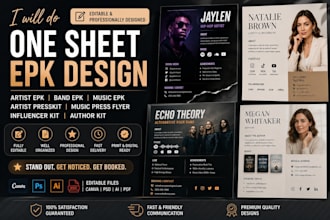 edit media kit artist kit band music press music influencer kit epk artist flyer