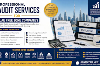 prepare audited financial statements for uae free zone companies