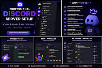 create a professional automated discord server