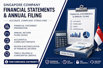 prepare singapore company financial statements and annual filing