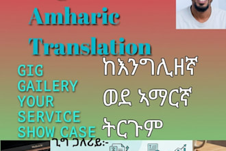 do professional amharic translation and data entry