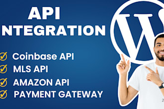 do rest api integration in wordpress woocommerce website