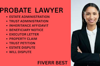 handle probate administration, inheritance disputes, property, and trust matters