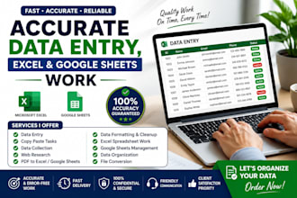 do accurate data entry, excel and google sheets work