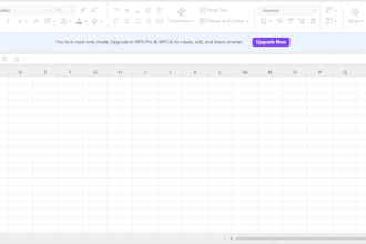 do professional data entry and fast typing work