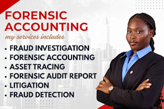 perform forensic accounting for divorce, fraud investigation and court cases