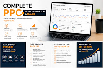 do complete PPC setup, optimization and campaign scaling
