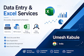 provide fast and reliable data entry and excel support