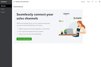 do ecommerce quickbooks bank reconciliation financial reports and cleanup