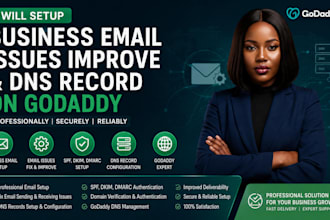 setup business email issues improve and dns record on godaddy professionally