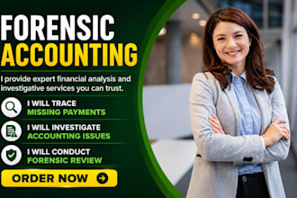 audit business transactions, identify financial irregularities, payroll mismatch