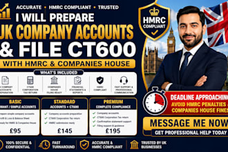 prepare UK company account and file ct600 with hmrc