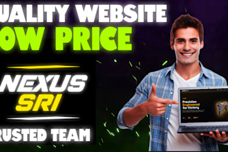 design a professional website at a low cost