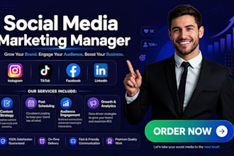 be social media marketing manager for instagram, tiktok, facebook growth