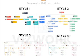 create a professional organizational chart with photo for you