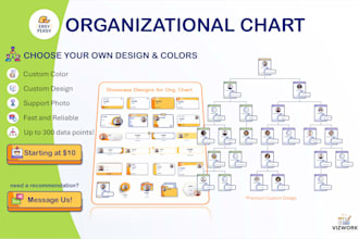 create a beautiful custom organizational chart for you