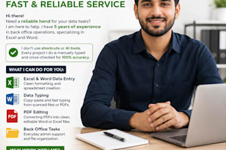 do expert excel word data entry and back office tasks
