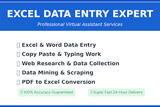do professional excel data entry, copy paste and web research