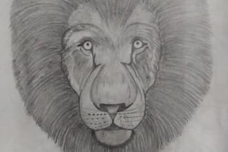 draw realistic sketches and diagrams