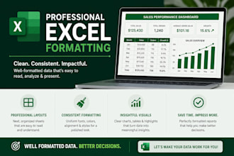 do professional excel data formatting and data cleaning