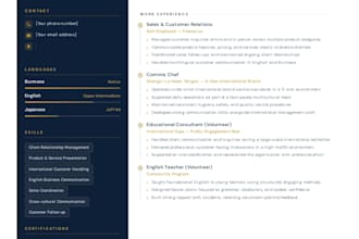 write a professional english CV and resume for any industry