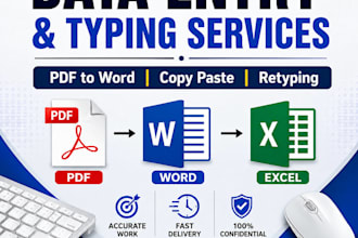 do data entry, copy typing, PDF conversion, word and excel work