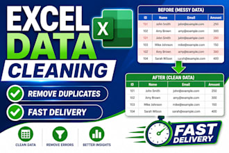 do excel data cleaning, formatting and data entry