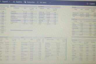 create a professional power bi dashboard to track your business kpis