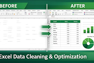 clean, organize and fix your excel data professionally