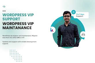 help you with wordpress VIP setup development and training