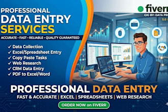 do professional data entry work
