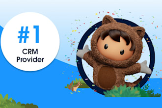 handle your salesforce end to end implementation