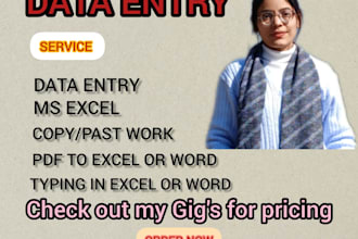 do faster data entry , ms excel, word, power point
