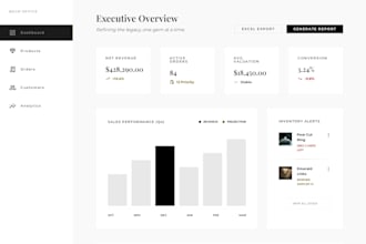 build responsive ecommerce website and excel dashboards