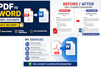 do PDF to word conversion professionally