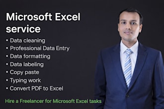 do data cleaning and data entry, data labeling, formatting