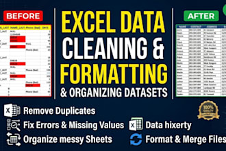 do excel data cleaning, data formatting, and remove duplicates